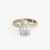 Test Ring - 03