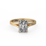 Test Ring-02