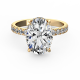 Test Ring-01