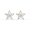 Marquise Star Stud Earrings