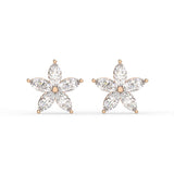 Marquise Star Stud Earrings