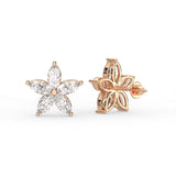 Marquise Star Stud Earrings