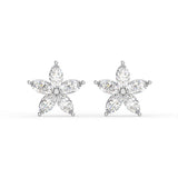 Marquise Star Stud Earrings