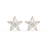 Marquise Star Stud Earrings
